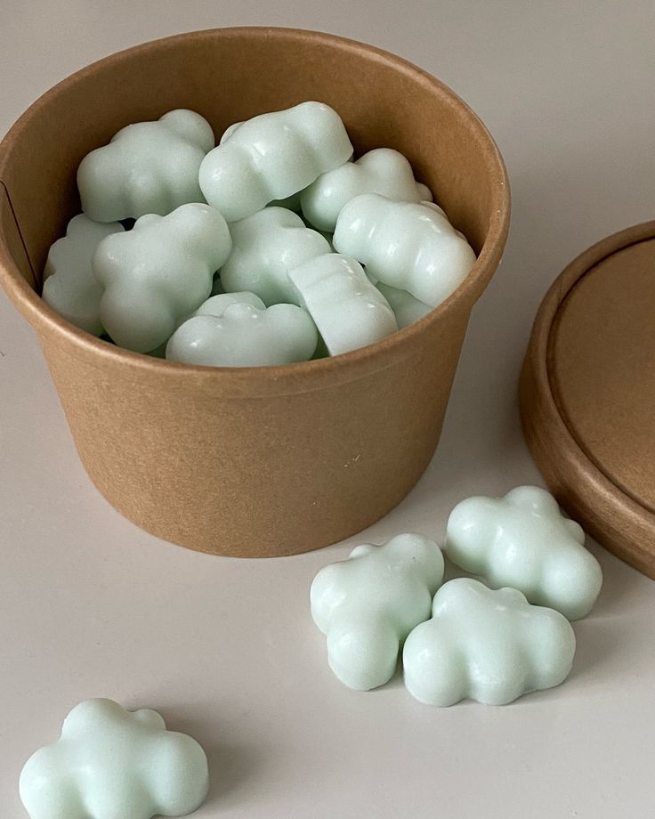 Wax Melts
